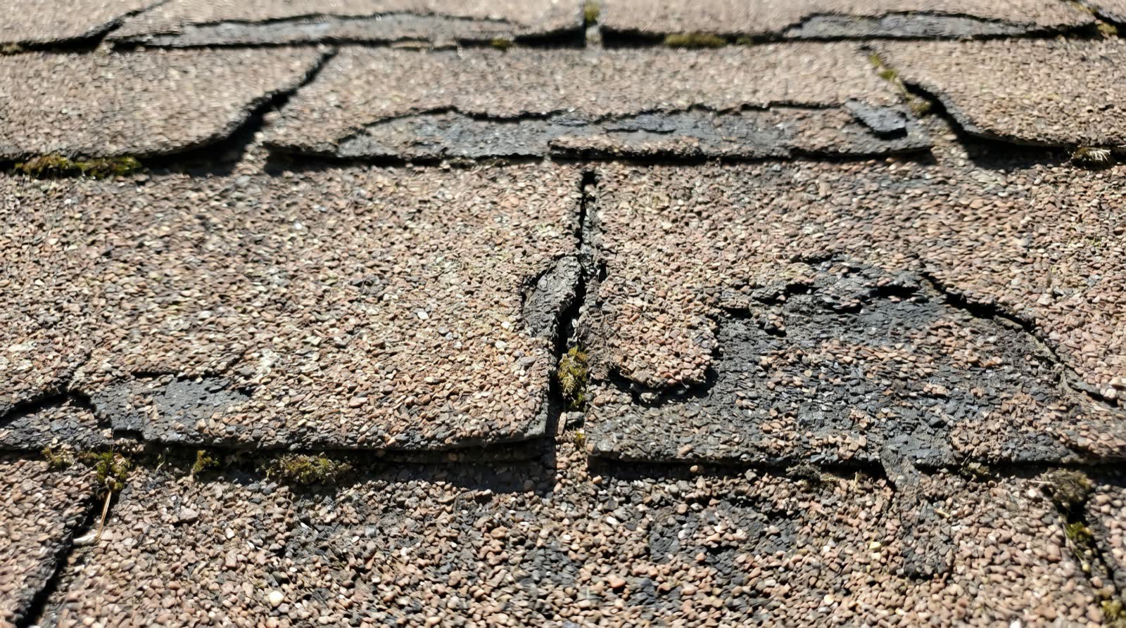 Close-up of aging, curling asphalt shingles showing granule loss
